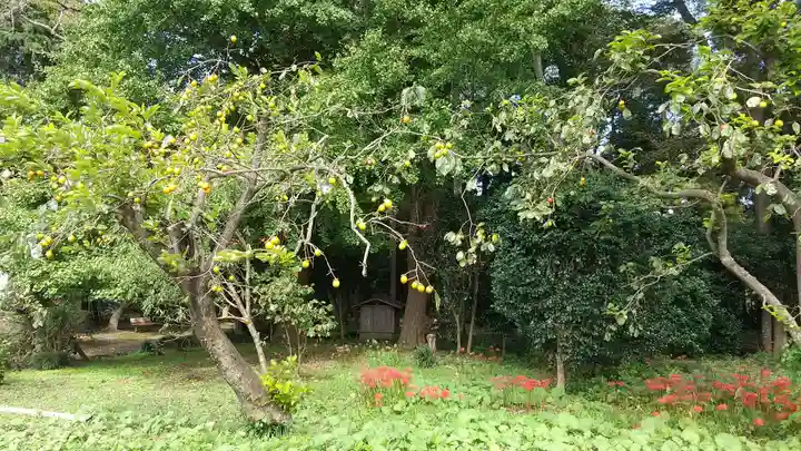 東征神社のその他建物