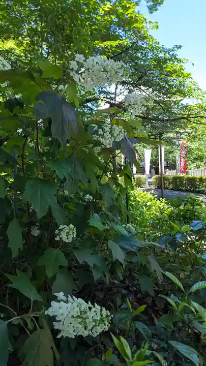 本法寺(京都府)