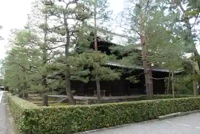 大徳寺の本殿・本堂