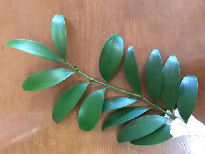 金ヶ作熊野神社の授与品その他