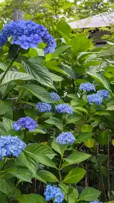 真正極楽寺(真如堂)(京都府)