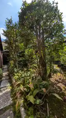 照臨院(京都府)