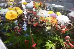 東海市熊野神社の手水