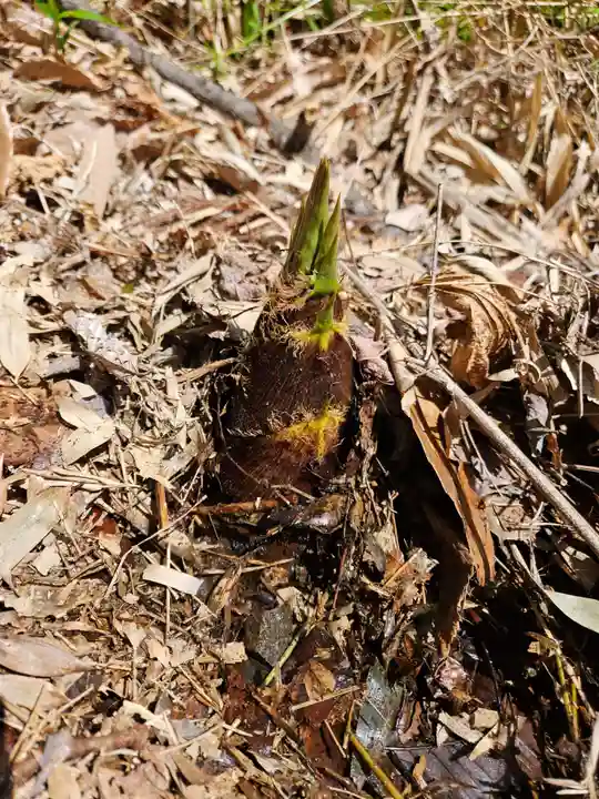 垂水神社(大阪府)