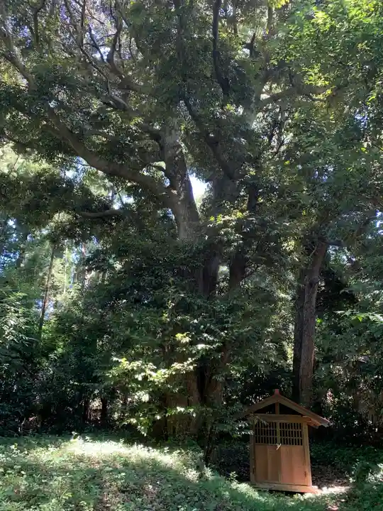 権現神社(千葉県)