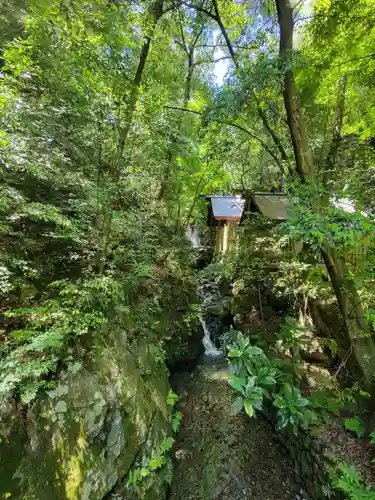 多度大社の自然