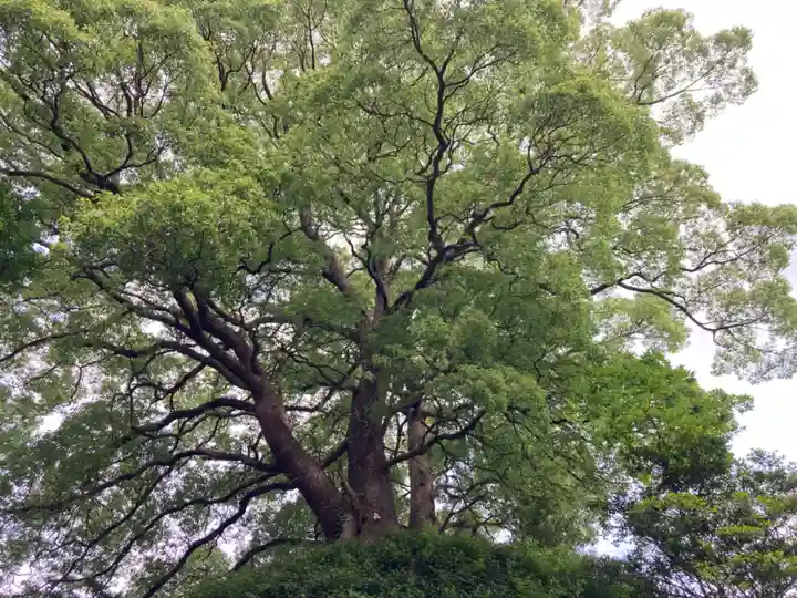 楠木神社(茨城県)