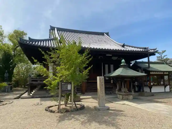 道明寺の{uncategorized: "未分類", other: "その他", undefined: "問題あり", building: "その他建物", grave: "お墓", sacred_gate: "鳥居", guardian: "狛犬", statue: "像", buddha: "仏像", history: "歴史", nature: "自然", garden: "庭園", animal: "動物", pagoda: "塔", temizu: "手水舎", mountain_gate: "山門・神門", sanctuary: "本殿・本堂", subordinate: "末社・摂社", art: "芸術", scenery: "景色", jizo: "地蔵", ema: "絵馬", goshuin: "御朱印", omikuji: "おみくじ", items: "授与品その他", amulet: "お守り", goshuincho: "御朱印帳", eats: "食事", festival: "お祭り", votive_dance: "神楽", shichigosan: "七五三参", wedding: "結婚式", experience: "体験その他", initially: "初詣", around: "周辺", anti_infection: "感染症対策"}
