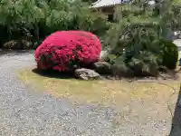 永福寺の{uncategorized: "未分類", other: "その他", undefined: "問題あり", building: "その他建物", grave: "お墓", sacred_gate: "鳥居", guardian: "狛犬", statue: "像", buddha: "仏像", history: "歴史", nature: "自然", garden: "庭園", animal: "動物", pagoda: "塔", temizu: "手水舎", mountain_gate: "山門・神門", sanctuary: "本殿・本堂", subordinate: "末社・摂社", art: "芸術", scenery: "景色", jizo: "地蔵", ema: "絵馬", goshuin: "御朱印", omikuji: "おみくじ", items: "授与品その他", amulet: "お守り", goshuincho: "御朱印帳", eats: "食事", festival: "お祭り", votive_dance: "神楽", shichigosan: "七五三参", wedding: "結婚式", experience: "体験その他", initially: "初詣", around: "周辺", anti_infection: "感染症対策"}