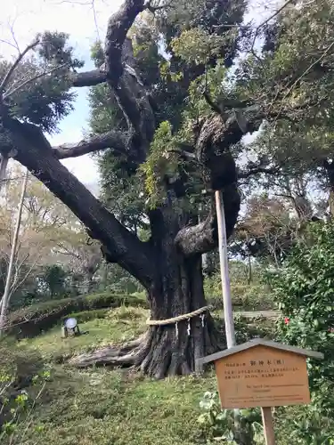 白玉稲荷神社(東京都)