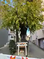 白光大神 (大阪府)