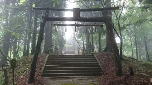 越知神社の鳥居