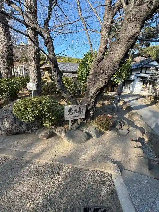 養源寺の{uncategorized: "未分類", other: "その他", undefined: "問題あり", building: "その他建物", grave: "お墓", sacred_gate: "鳥居", guardian: "狛犬", statue: "像", buddha: "仏像", history: "歴史", nature: "自然", garden: "庭園", animal: "動物", pagoda: "塔", temizu: "手水舎", mountain_gate: "山門・神門", sanctuary: "本殿・本堂", subordinate: "末社・摂社", art: "芸術", scenery: "景色", jizo: "地蔵", ema: "絵馬", goshuin: "御朱印", omikuji: "おみくじ", items: "授与品その他", amulet: "お守り", goshuincho: "御朱印帳", eats: "食事", festival: "お祭り", votive_dance: "神楽", shichigosan: "七五三参", wedding: "結婚式", experience: "体験その他", initially: "初詣", around: "周辺", anti_infection: "感染症対策"}