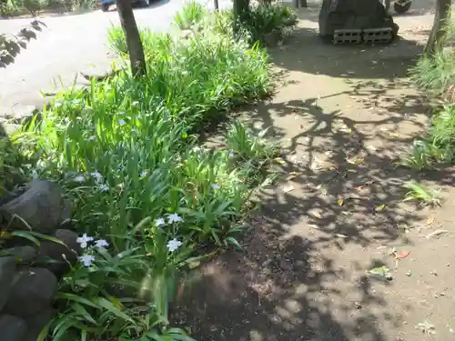 徳蔵寺(群馬県)