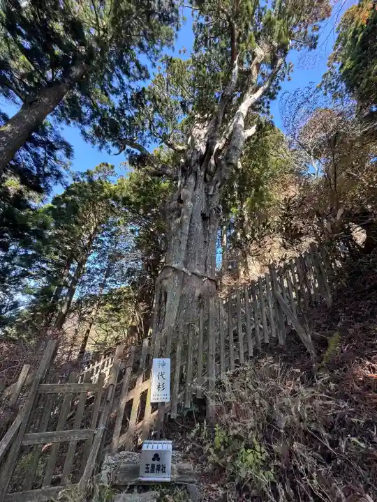 玉置神社(奈良県)