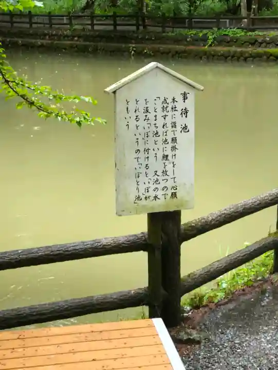 小國神社の{uncategorized: "未分類", other: "その他", undefined: "問題あり", building: "その他建物", grave: "お墓", sacred_gate: "鳥居", guardian: "狛犬", statue: "像", buddha: "仏像", history: "歴史", nature: "自然", garden: "庭園", animal: "動物", pagoda: "塔", temizu: "手水舎", mountain_gate: "山門・神門", sanctuary: "本殿・本堂", subordinate: "末社・摂社", art: "芸術", scenery: "景色", jizo: "地蔵", ema: "絵馬", goshuin: "御朱印", omikuji: "おみくじ", items: "授与品その他", amulet: "お守り", goshuincho: "御朱印帳", eats: "食事", festival: "お祭り", votive_dance: "神楽", shichigosan: "七五三参", wedding: "結婚式", experience: "体験その他", initially: "初詣", around: "周辺", anti_infection: "感染症対策"}