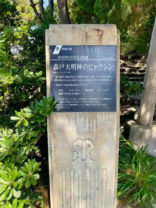 森戸大明神(森戸神社)(神奈川県)