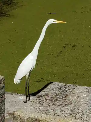 大嘗宮のその他建物