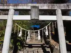 八雲神社(緑町)の鳥居