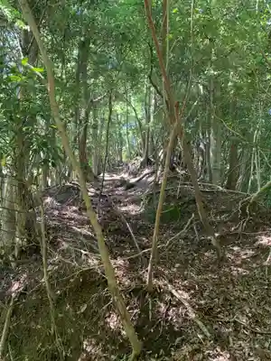 大代神社(千葉県)