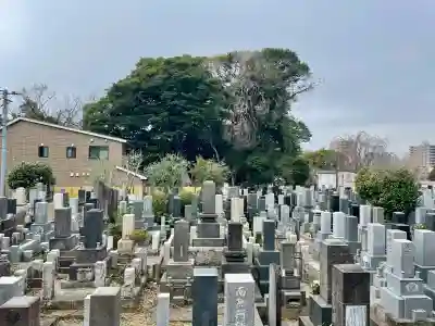 長運寺の{uncategorized: "未分類", other: "その他", undefined: "問題あり", building: "その他建物", grave: "お墓", sacred_gate: "鳥居", guardian: "狛犬", statue: "像", buddha: "仏像", history: "歴史", nature: "自然", garden: "庭園", animal: "動物", pagoda: "塔", temizu: "手水舎", mountain_gate: "山門・神門", sanctuary: "本殿・本堂", subordinate: "末社・摂社", art: "芸術", scenery: "景色", jizo: "地蔵", ema: "絵馬", goshuin: "御朱印", omikuji: "おみくじ", items: "授与品その他", amulet: "お守り", goshuincho: "御朱印帳", eats: "食事", festival: "お祭り", votive_dance: "神楽", shichigosan: "七五三参", wedding: "結婚式", experience: "体験その他", initially: "初詣", around: "周辺", anti_infection: "感染症対策"}