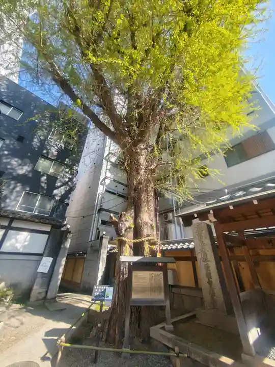 本能寺(京都府)