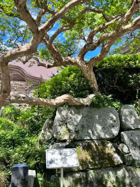 普門寺(岩手県)
