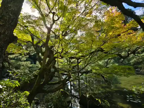 平安神宮(京都府)