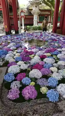 太宰府天満宮の手水舎