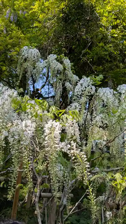 歌泉堂(春日大社神苑萬葉植物園内鎮座)(奈良県)