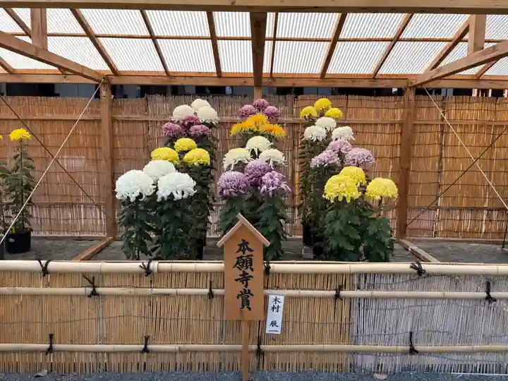 本願寺(西本願寺)(京都府)