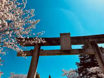 宇多須神社の鳥居