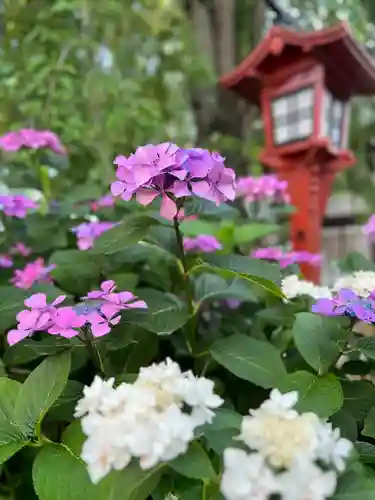 川越八幡宮(埼玉県)