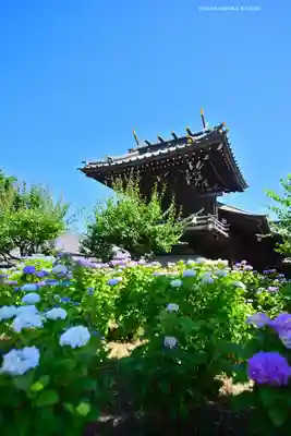 白山神社(東京都)