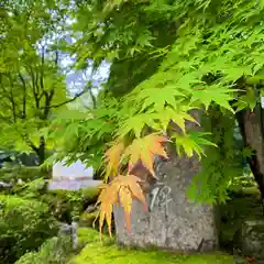 古峯神社の自然