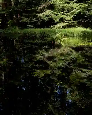 平泉寺白山神社(福井県)