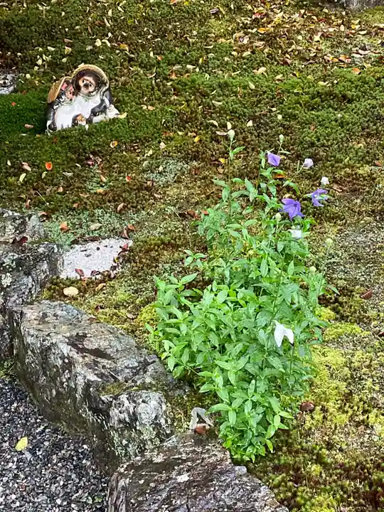 高徳庵 (最勝院)(京都府)