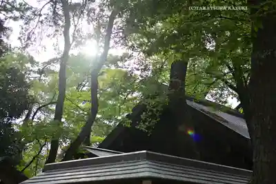 意富比神社(千葉県)
