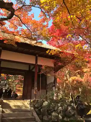 常寂光寺(京都府)