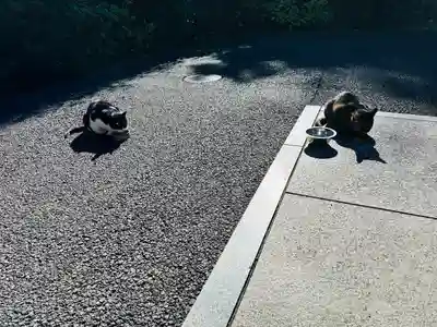 白金氷川神社(東京都)