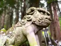 戸隠神社宝光社の狛犬