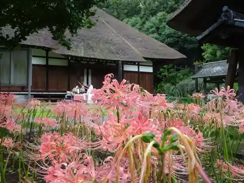 横浜　西方寺の本殿・本堂