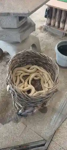 岩国白蛇神社(山口県)