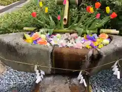 伊和志津神社の手水