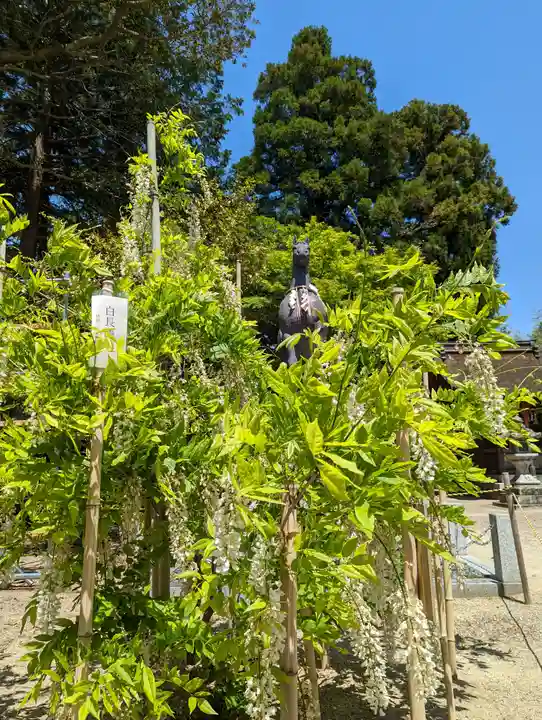 志那神社(滋賀県)