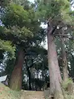 海保神社(千葉県)