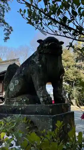 朝日森天満宮の狛犬