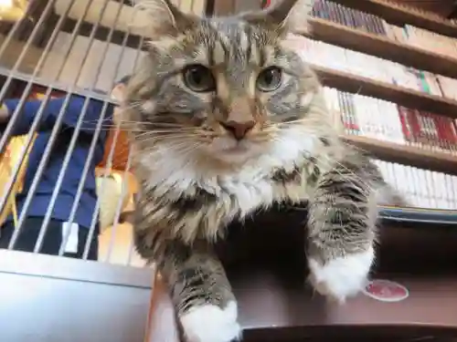 晴明神社(京都府)