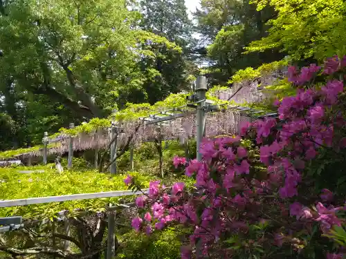 阿智神社(岡山県)