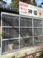 日吉大社の動物